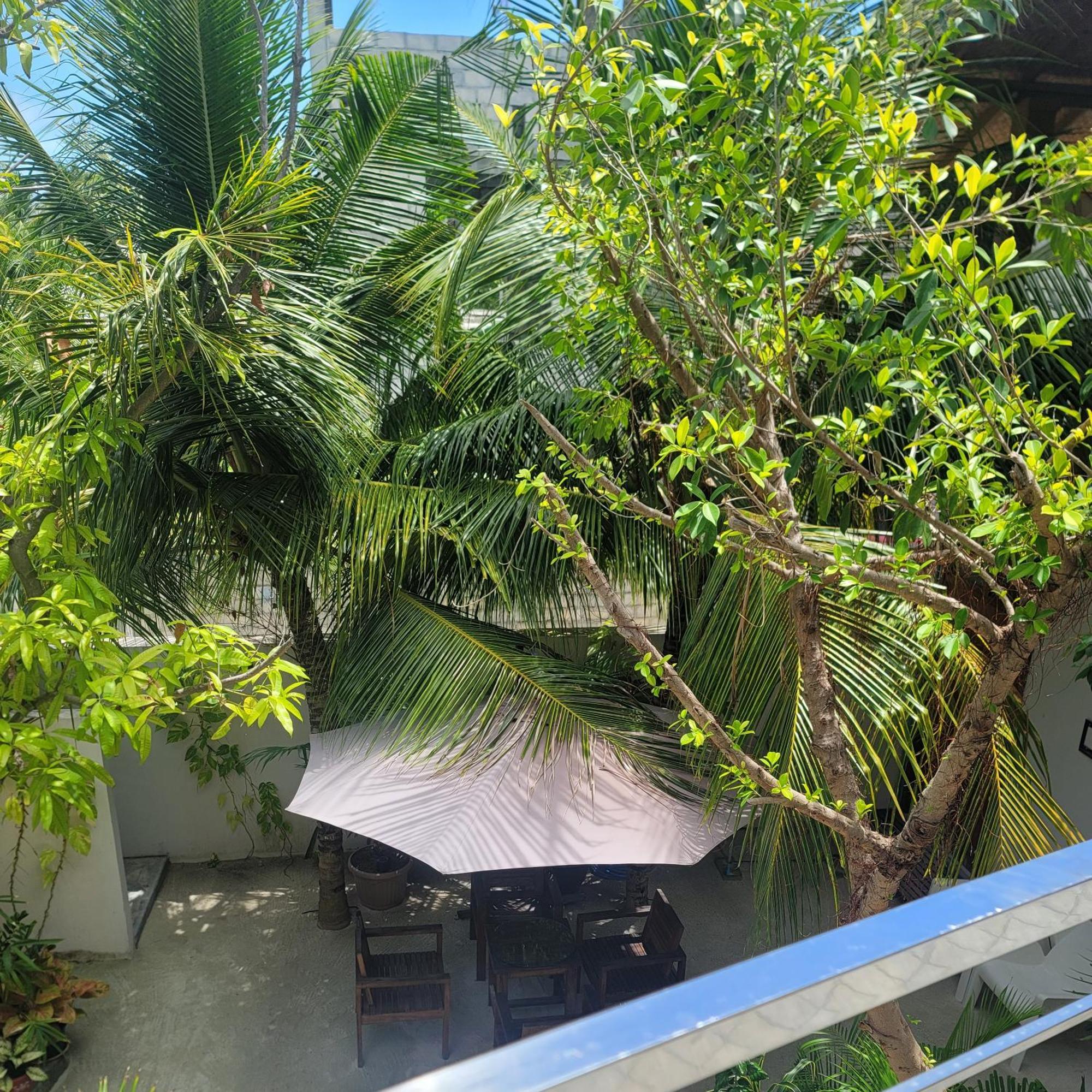 Palm Residence Rasdhoo Rom bilde